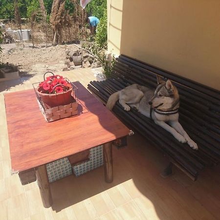 Casita Entre Naranjas Βίλα Formentera de Segura Εξωτερικό φωτογραφία