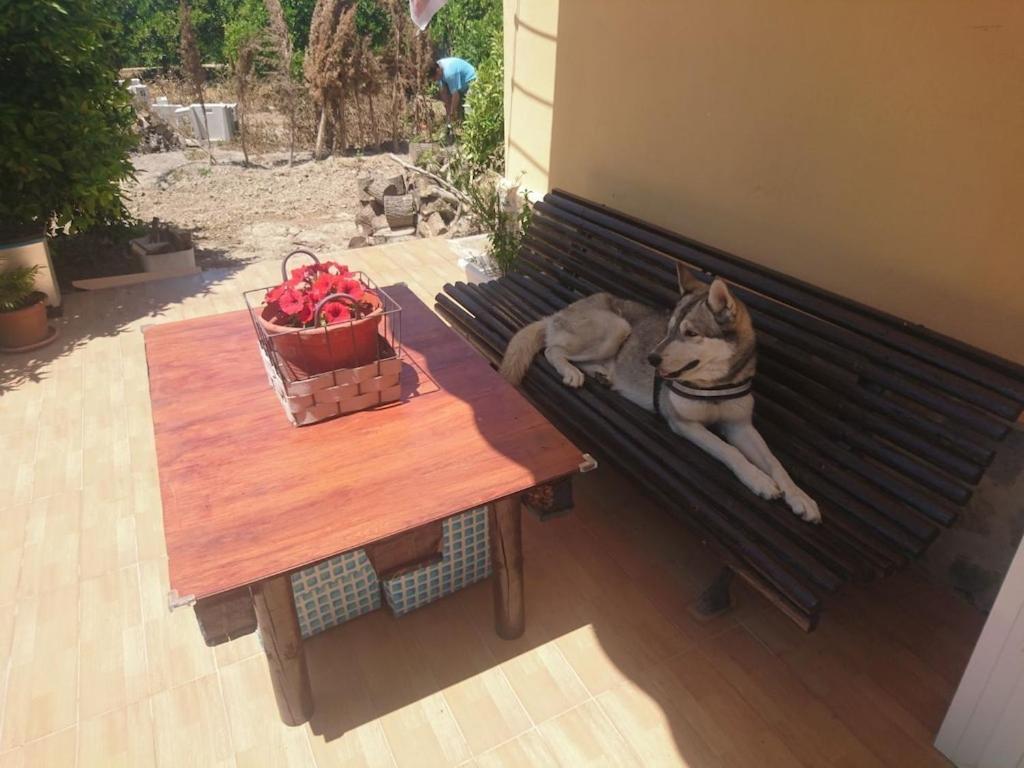 Casita Entre Naranjas Βίλα Formentera de Segura Εξωτερικό φωτογραφία